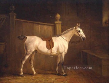 am091D cheval animal Peinture à l'huile